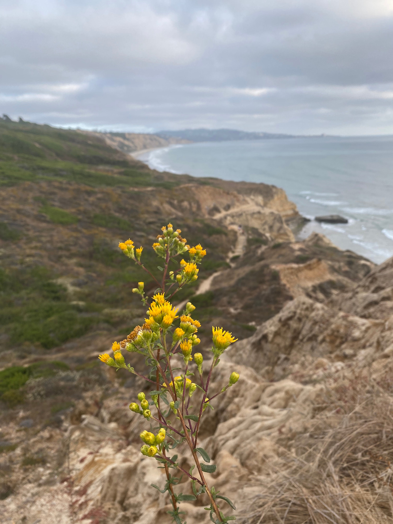 KakaoTalk_20230804_120956294_11 - 복사본.jpg