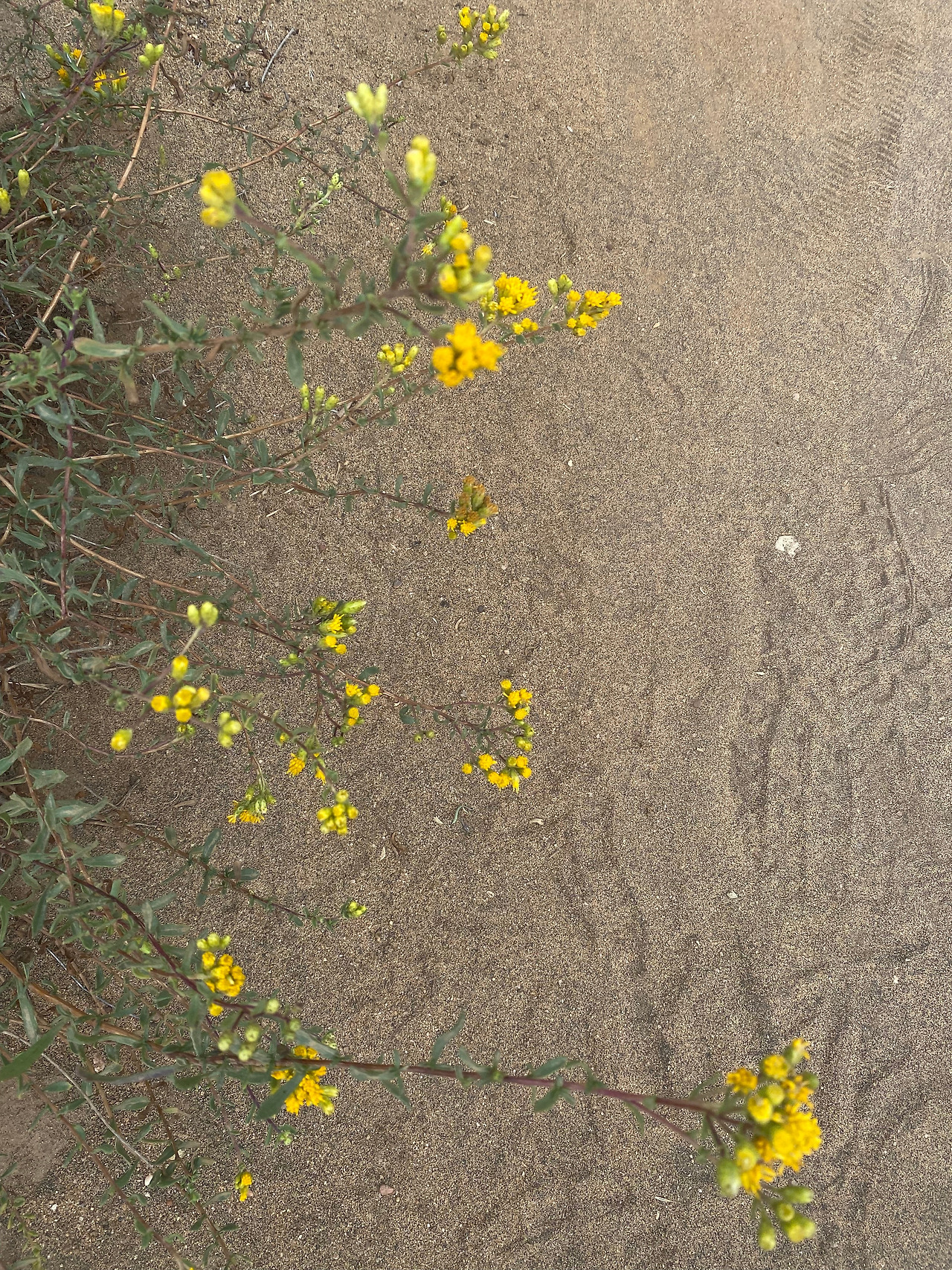 KakaoTalk_20230804_120956294_15 - 복사본.jpg