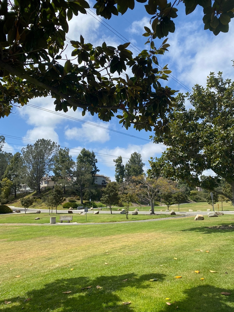 KakaoTalk_20230509_183433541_11 (1).jpg