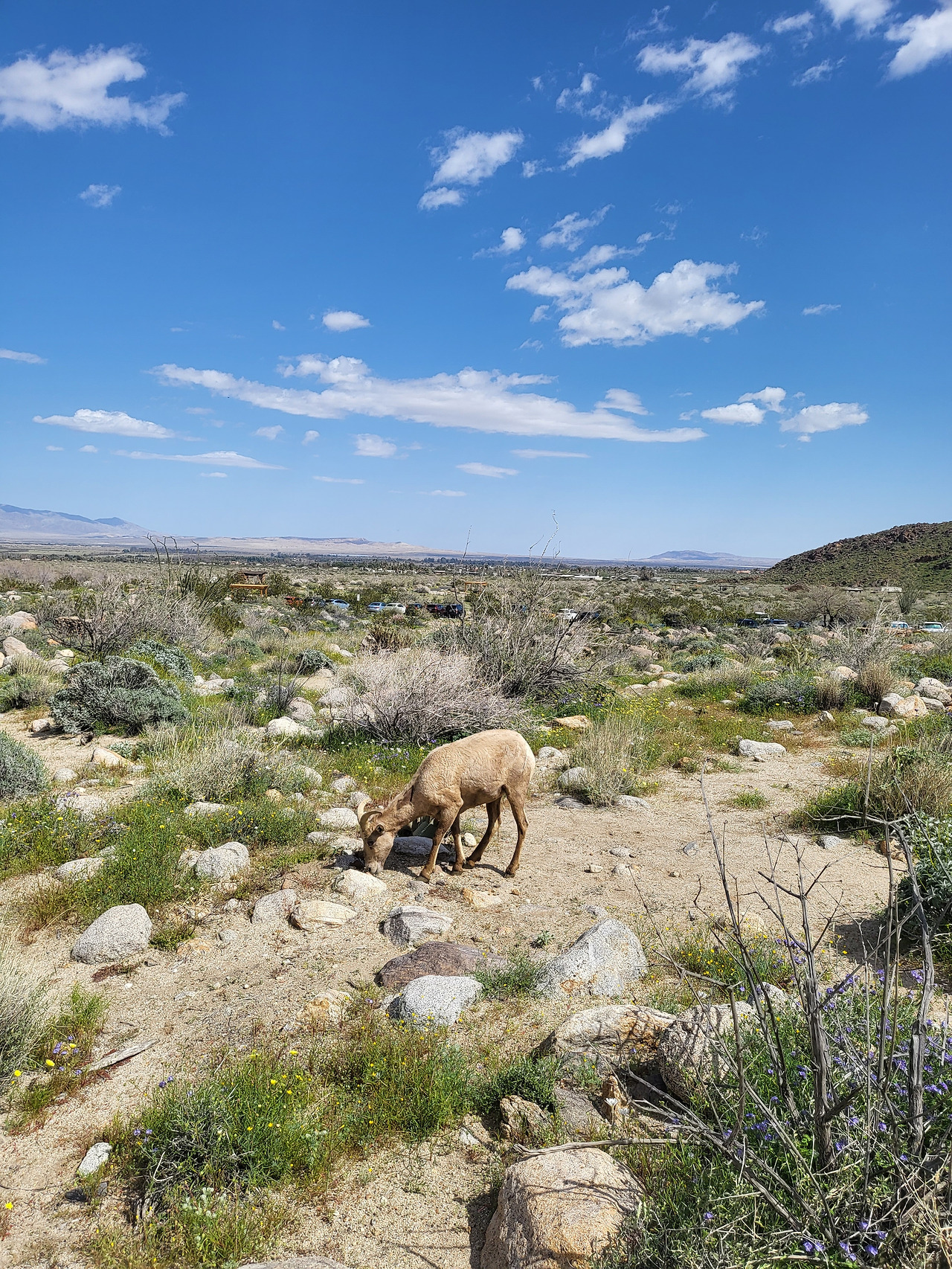 KakaoTalk_20230325_203358073_16 (1).jpg