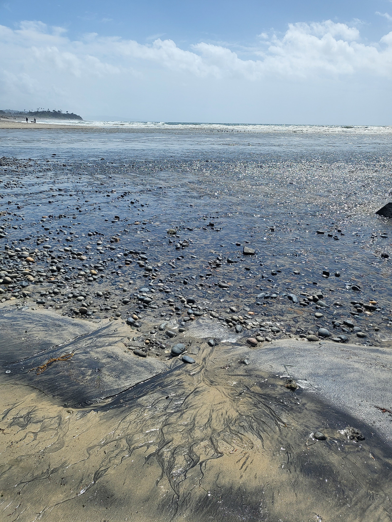 KakaoTalk_20230323_221348517_11 (1).jpg