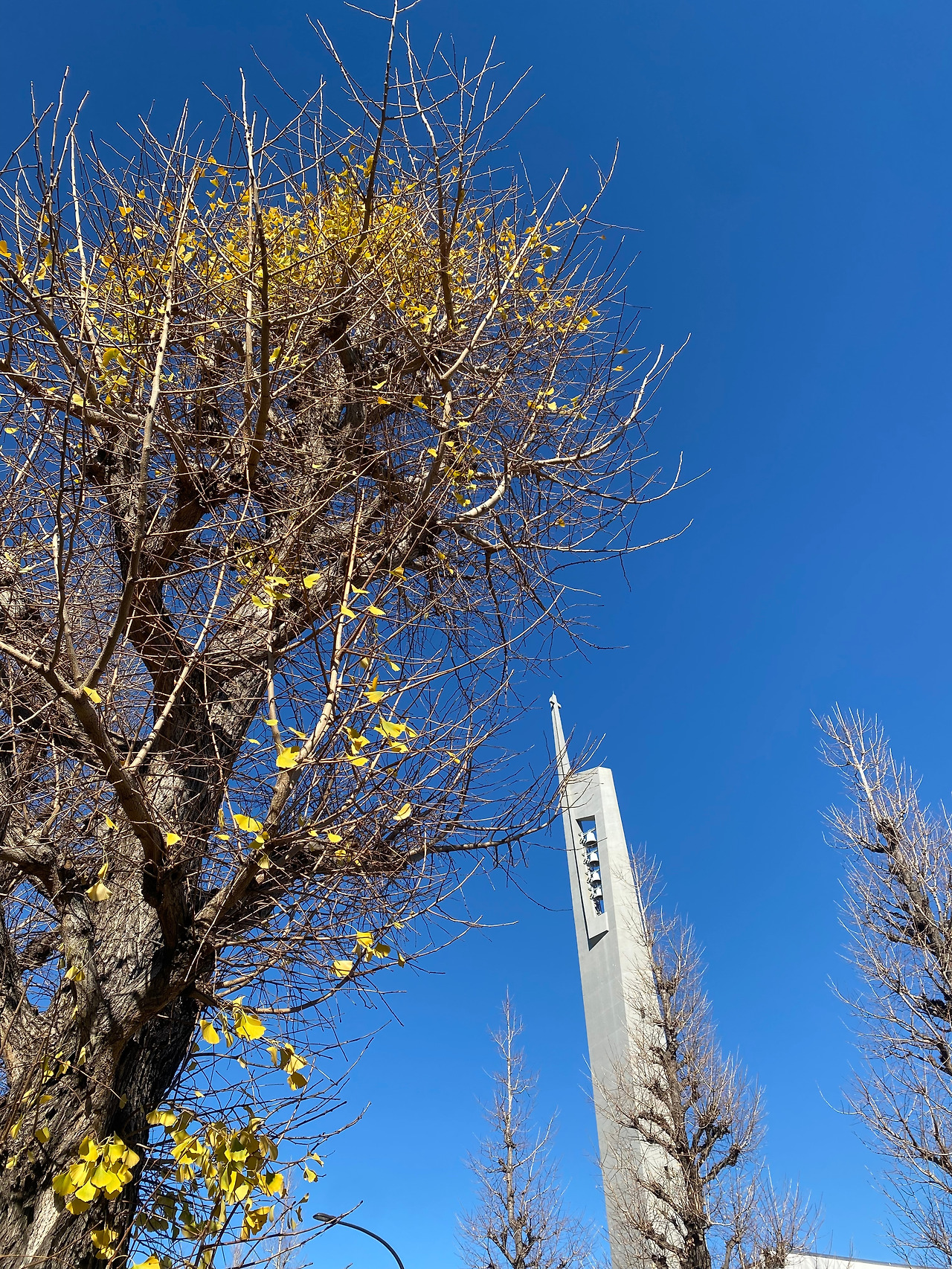 KakaoTalk_20251228_213926718_22 (1).jpg