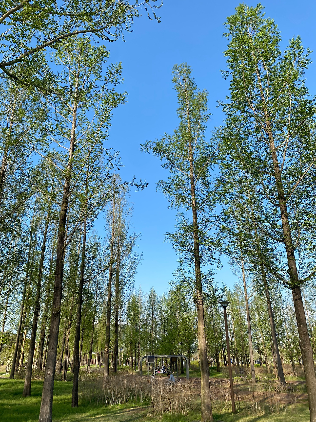 KakaoTalk_20250421_155407715_06 - 복사본.jpg