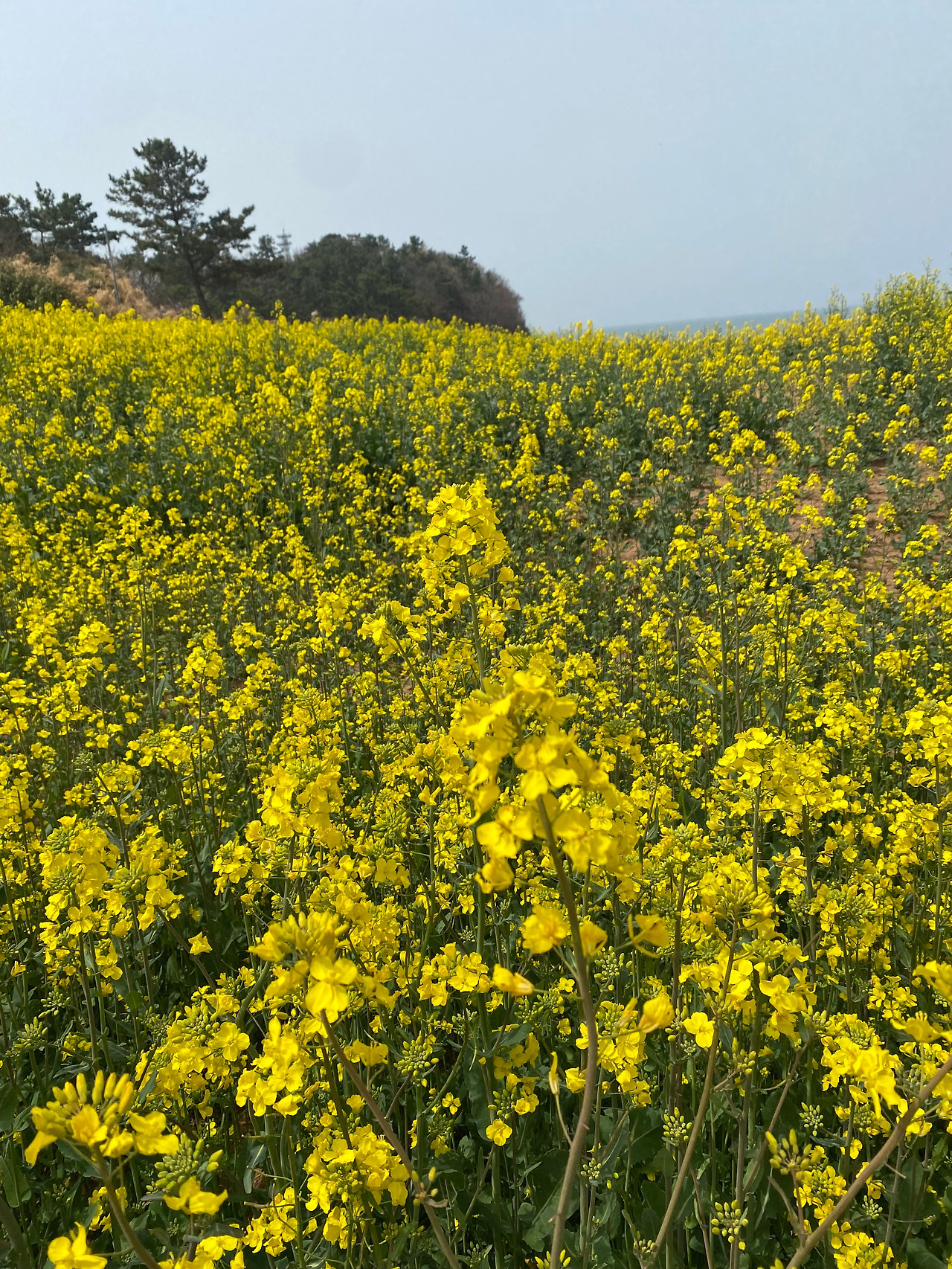 KakaoTalk_20250418_195458254_22 (1).jpg