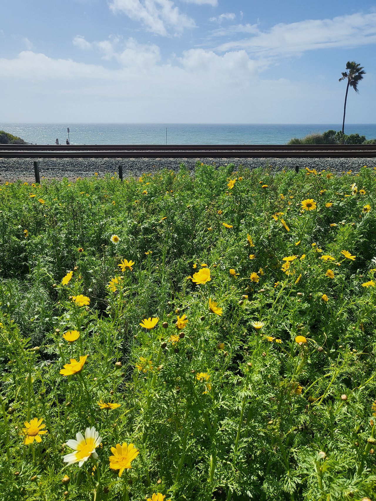 KakaoTalk_20230323_221348517_04 (1).jpg