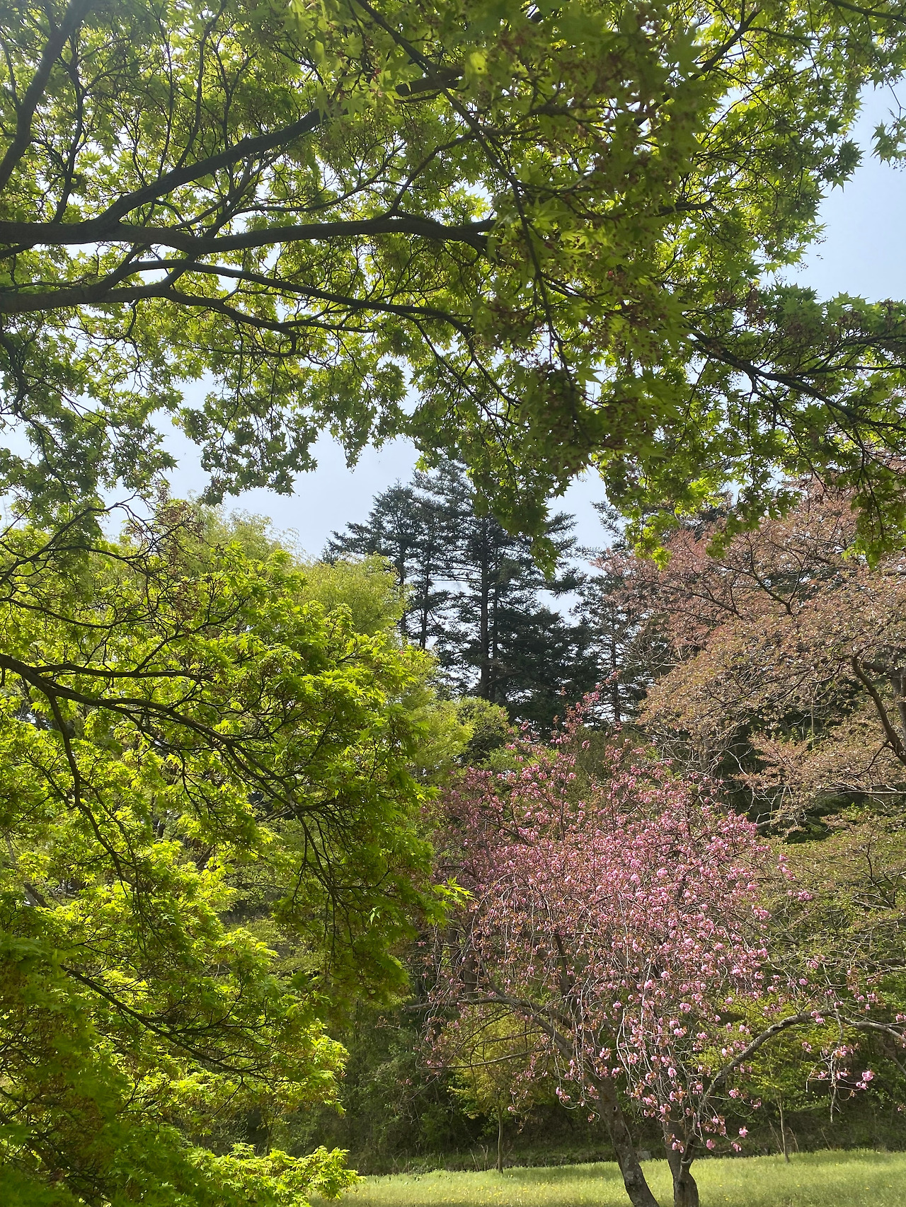 KakaoTalk_20250418_195458254_06 (1).jpg