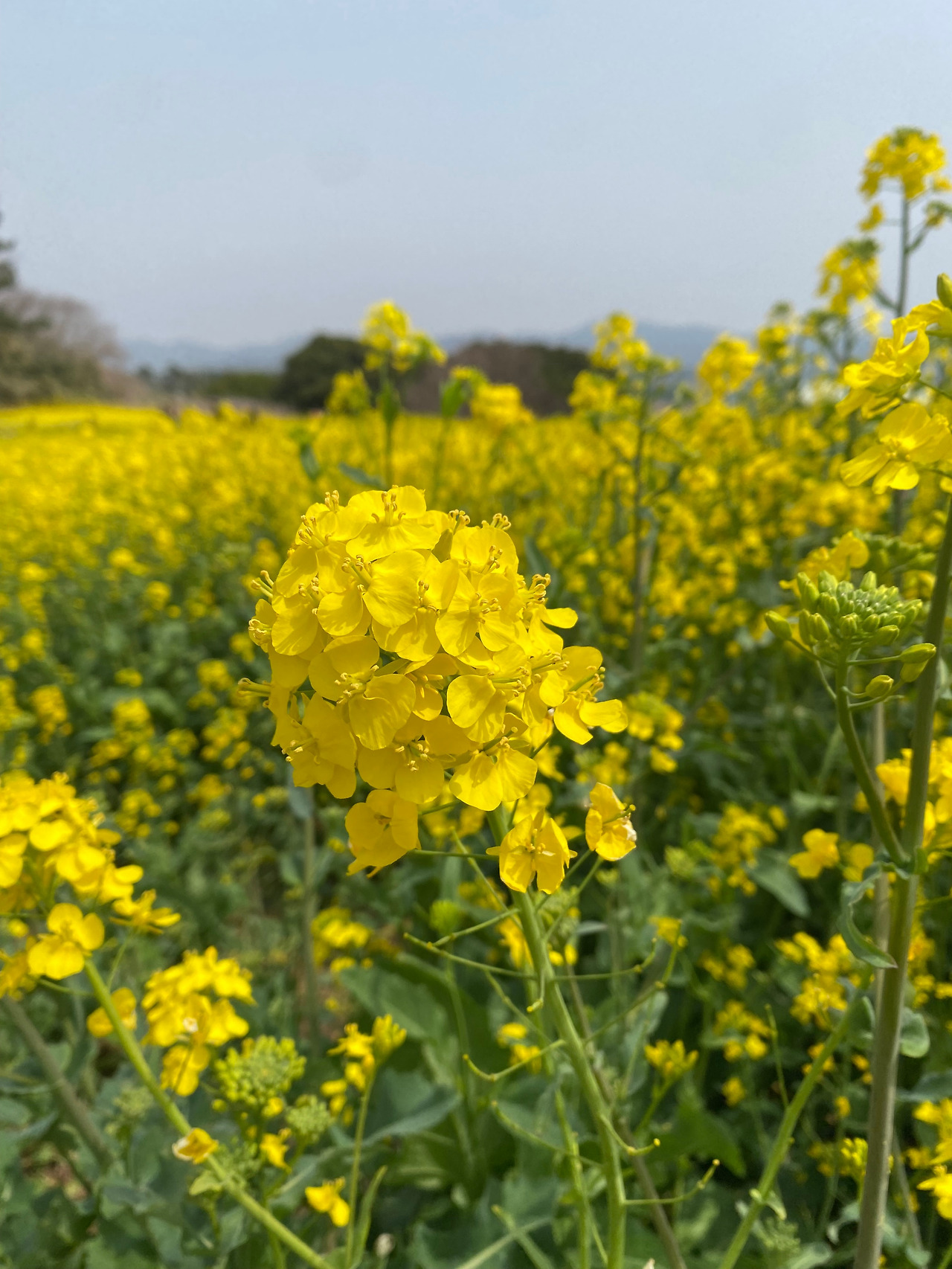 KakaoTalk_20250418_195506112_28 (1).jpg