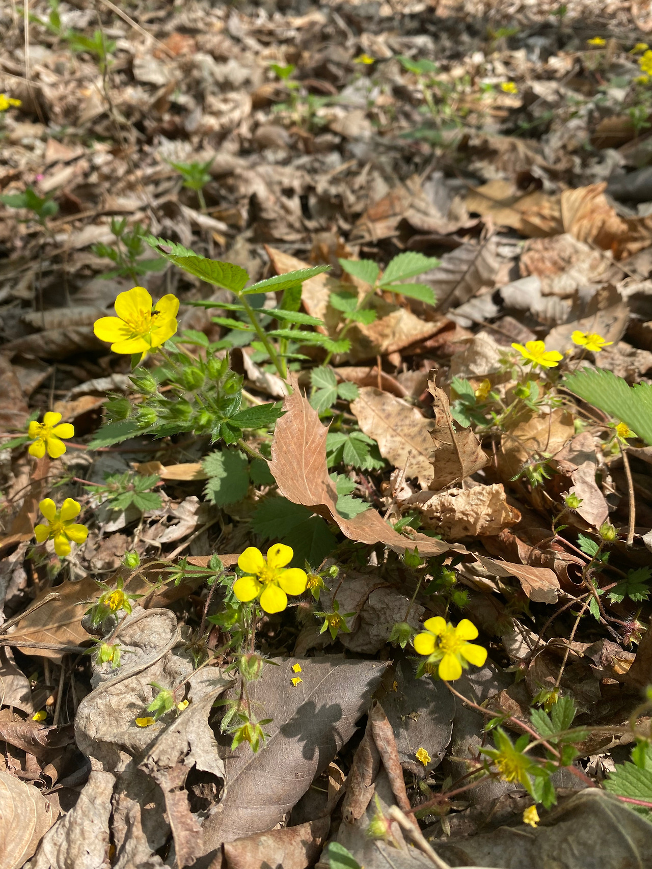 KakaoTalk_20250421_155407715_26 - 복사본.jpg