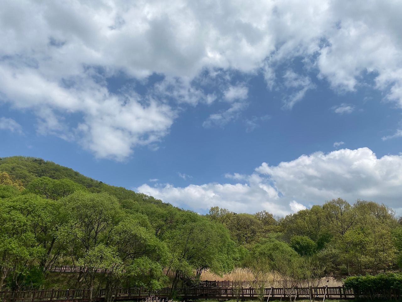 KakaoTalk_20250421_155407715_21 - 복사본.jpg