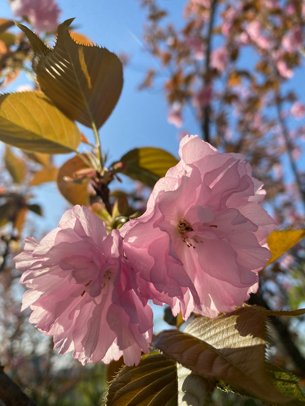 KakaoTalk_20250421_155407715_05 - 복사본.jpg