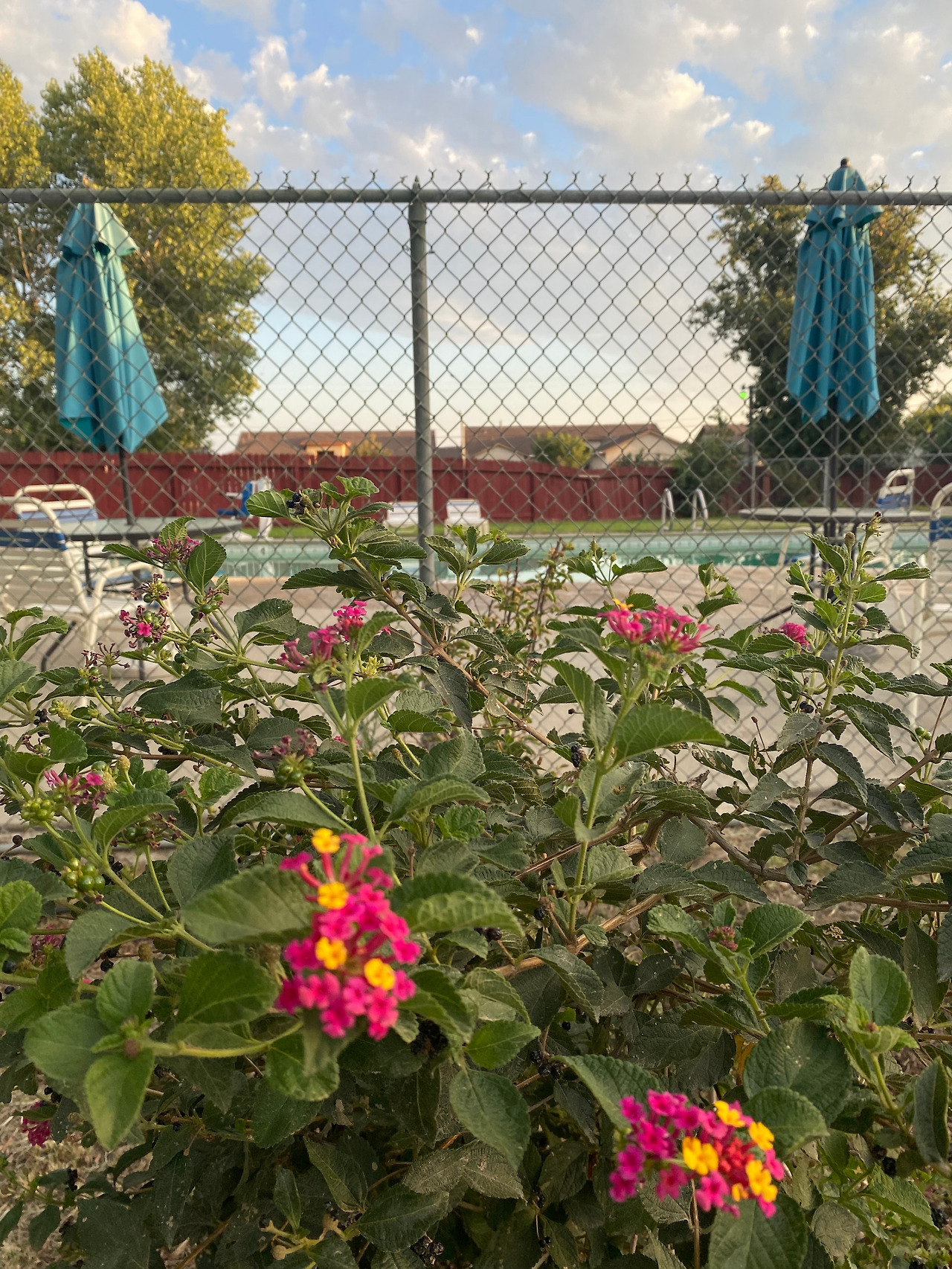 KakaoTalk_20230904_235036170_10 (1).jpg