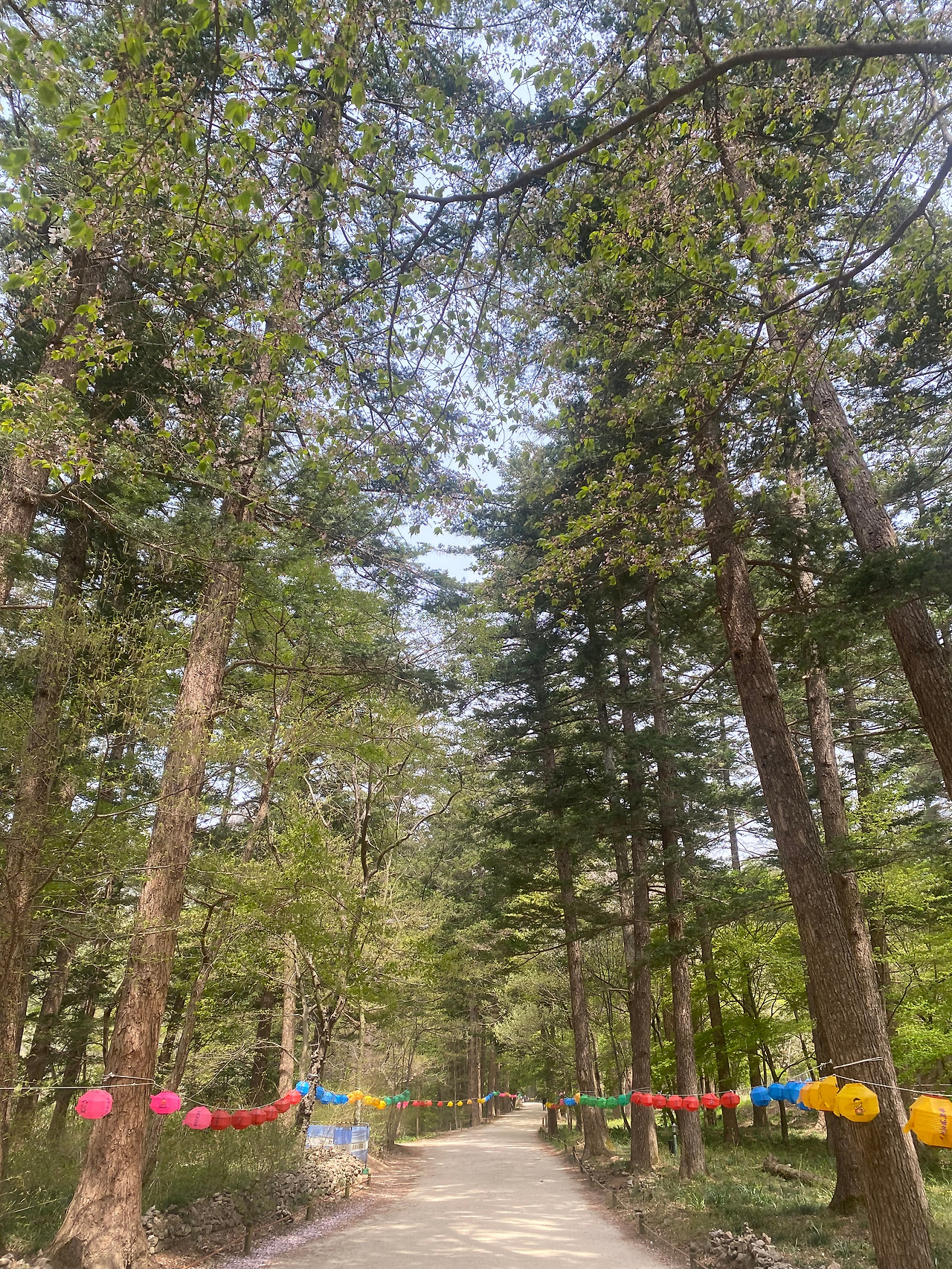 KakaoTalk_20250418_195458254 (1).jpg