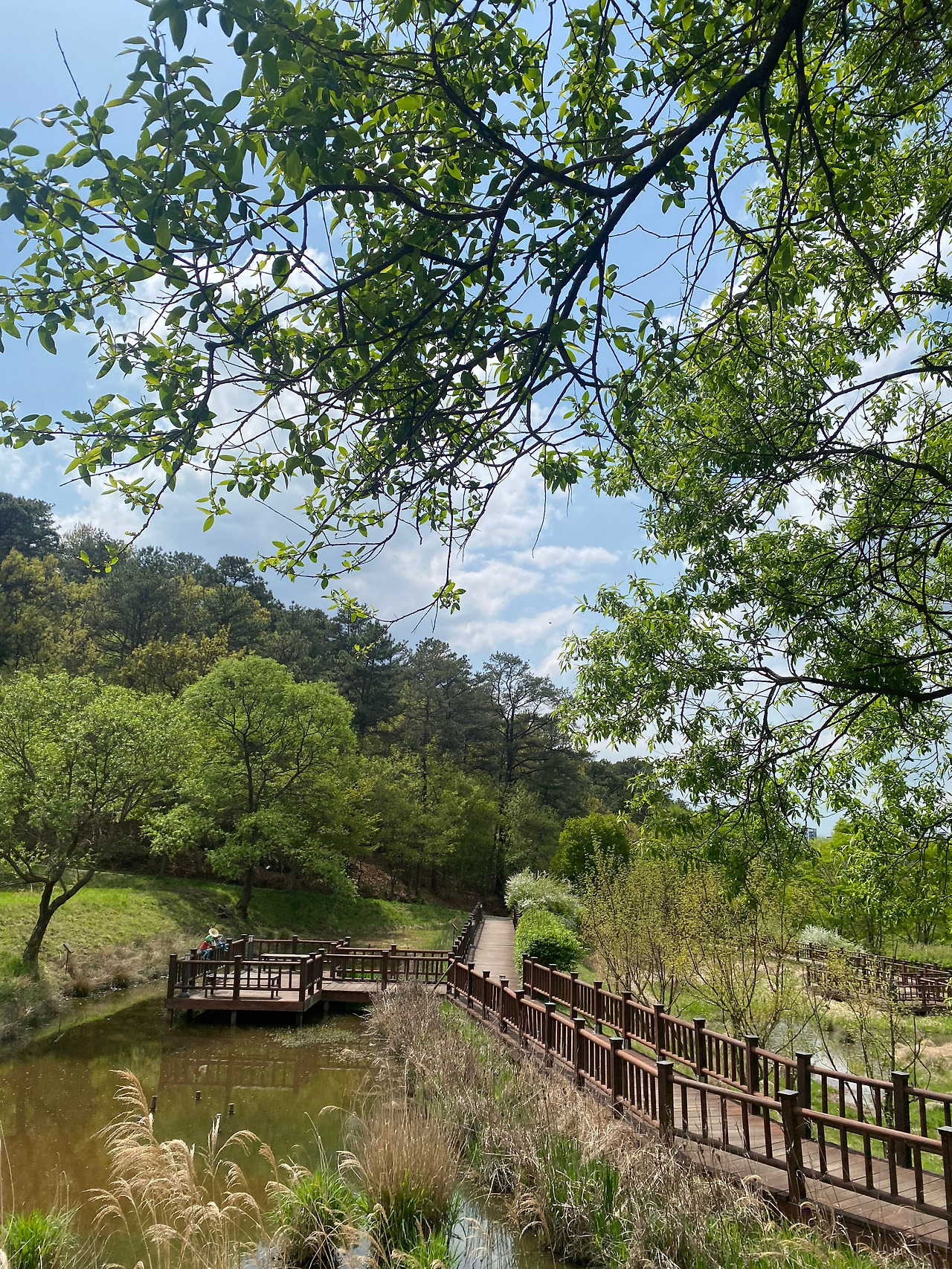 KakaoTalk_20250421_155407715_22 - 복사본.jpg