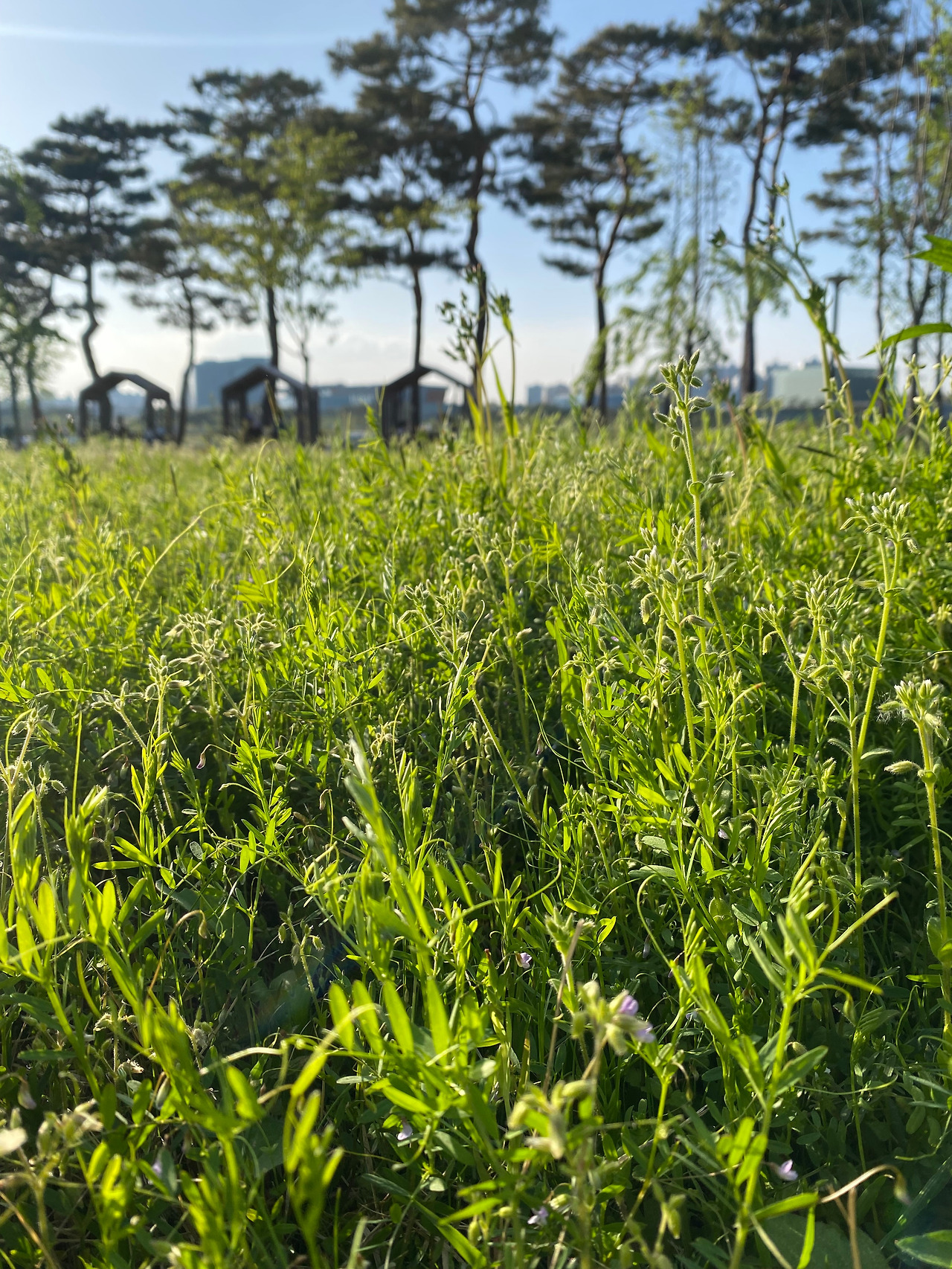 KakaoTalk_20250421_155407715_04 - 복사본.jpg