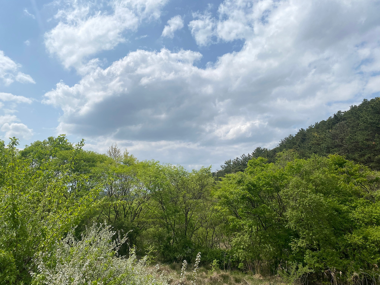 KakaoTalk_20250421_155407715_19 - 복사본.jpg