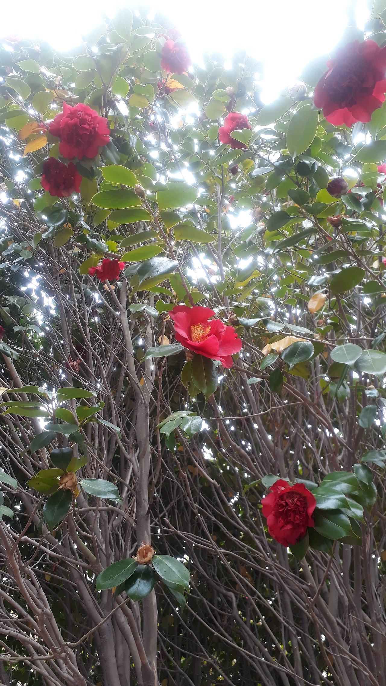 20200411_144039 (1).jpg