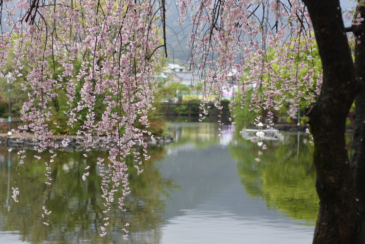 사본 -1460534352493.jpg