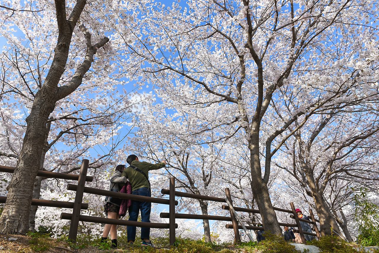 사본 -남구 수변1.jpg