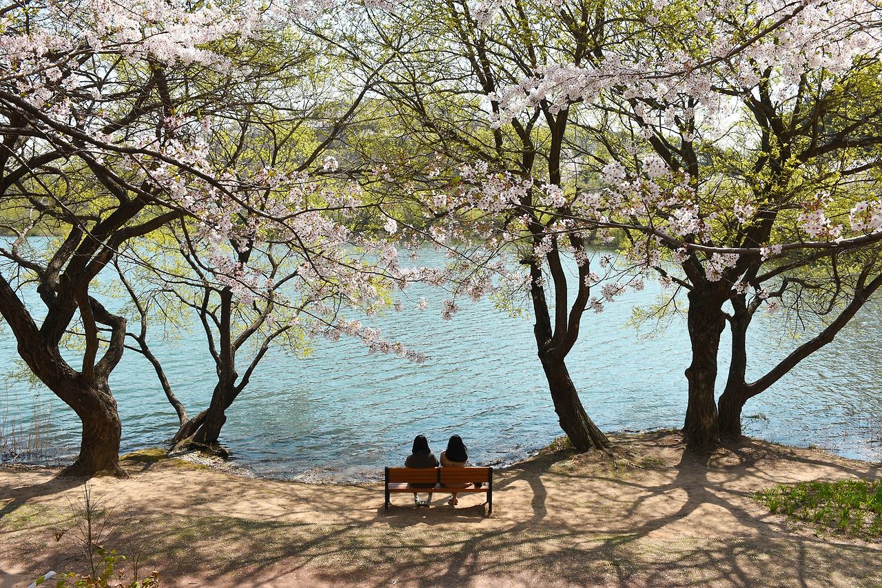 사본 -남구 수변-최종2.jpg