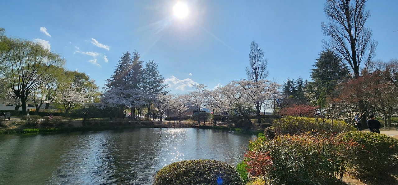 송과장 업무용_사진_20250411_6.jpg