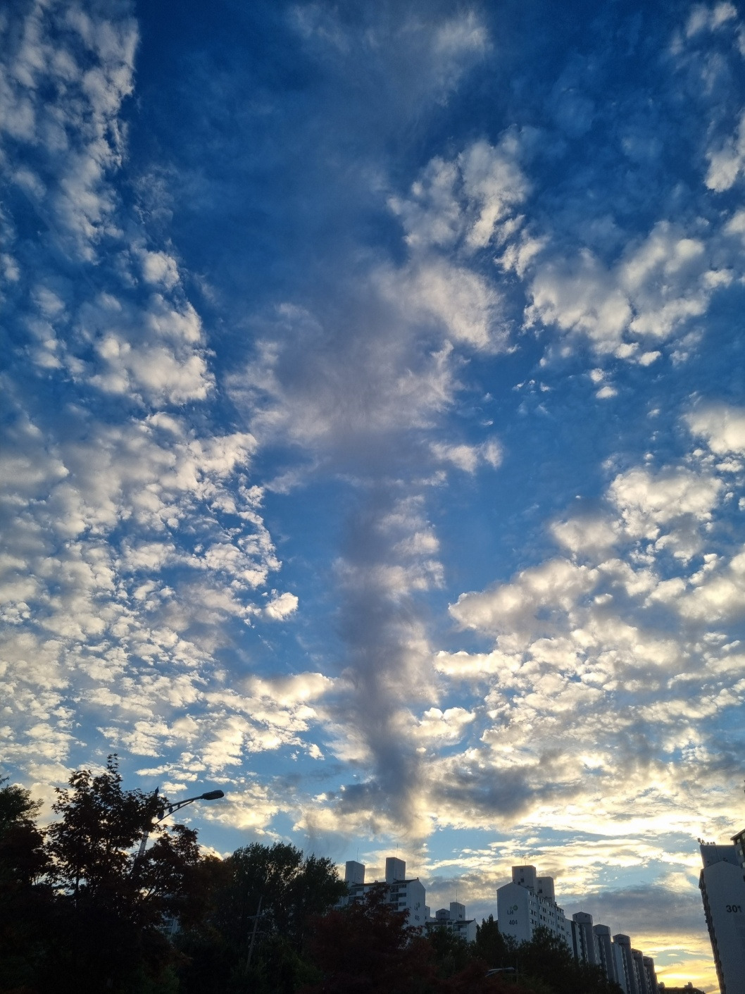 2025년 어느 여름1.jpg