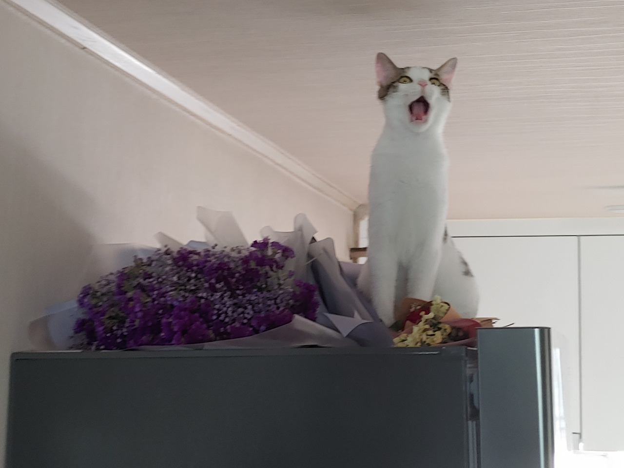 20210518_165557 (1).jpg