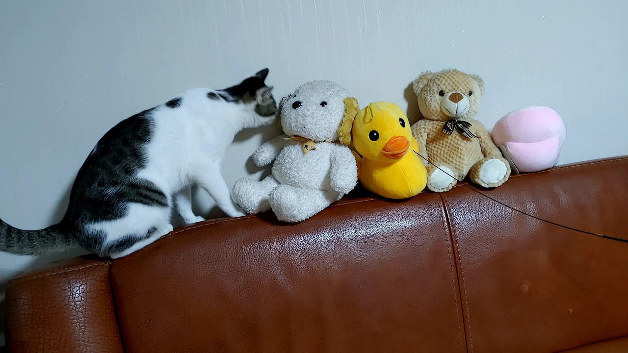 20220831_215445171 (1).jpg