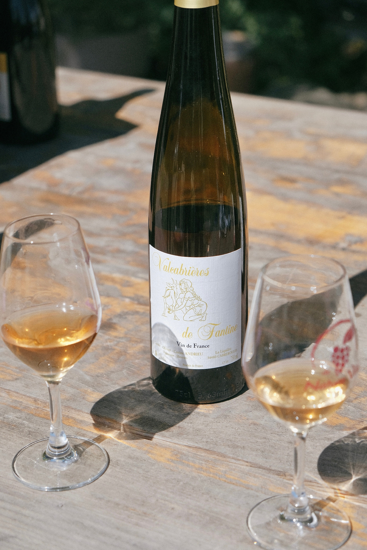 Languedoc_Clos Fantine 18.jpg