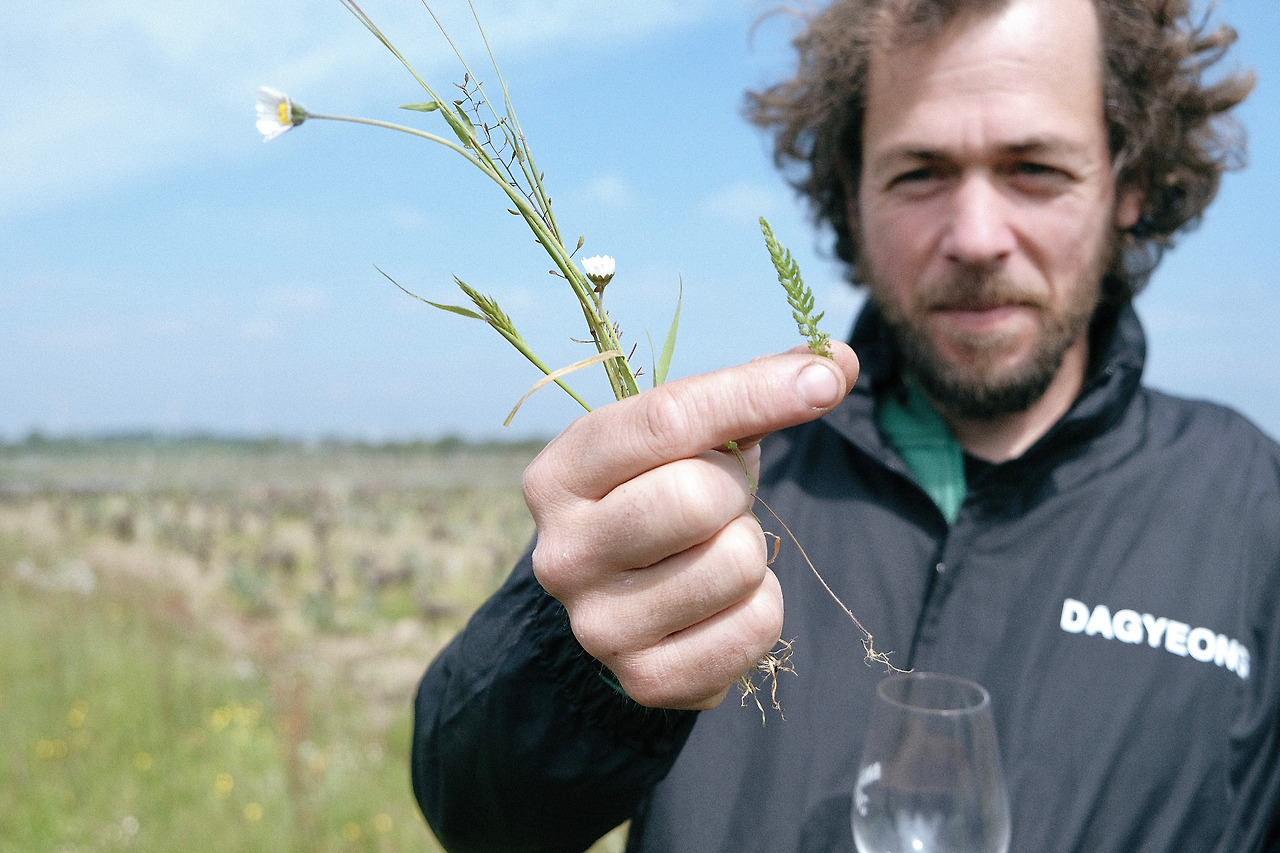 Loire_Le Thio Noots 5.jpg