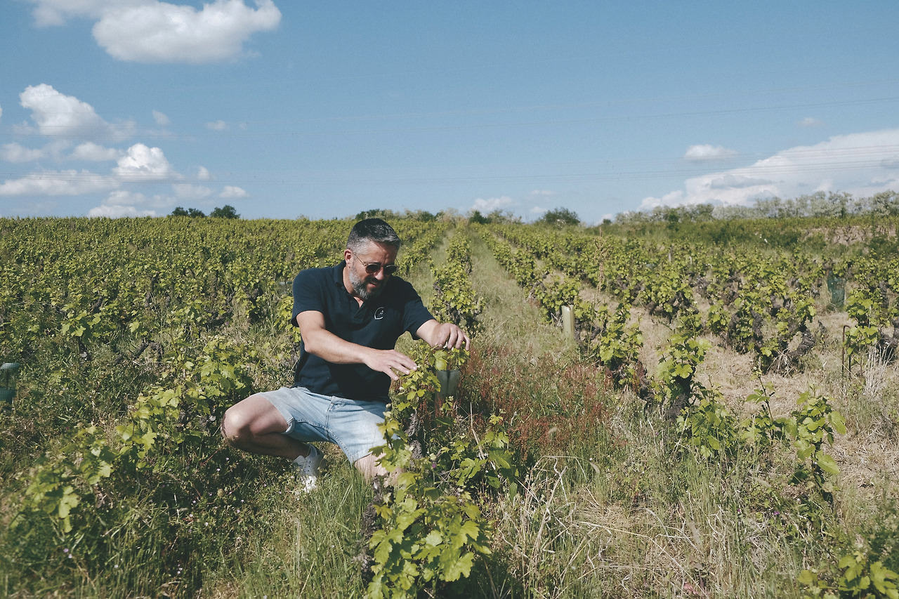 Domaine de la Cure (6).jpg