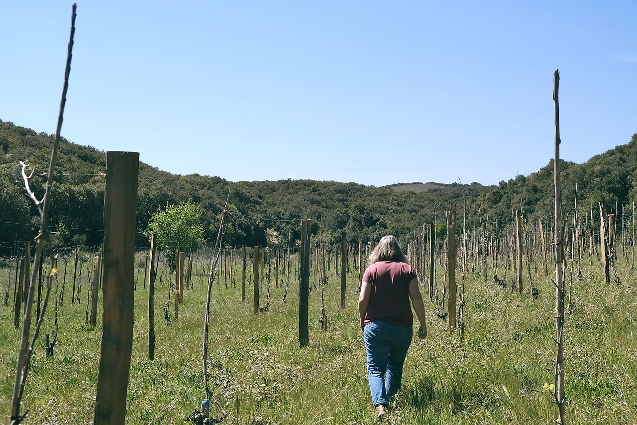 Languedoc_Clos Fantine 14.jpg