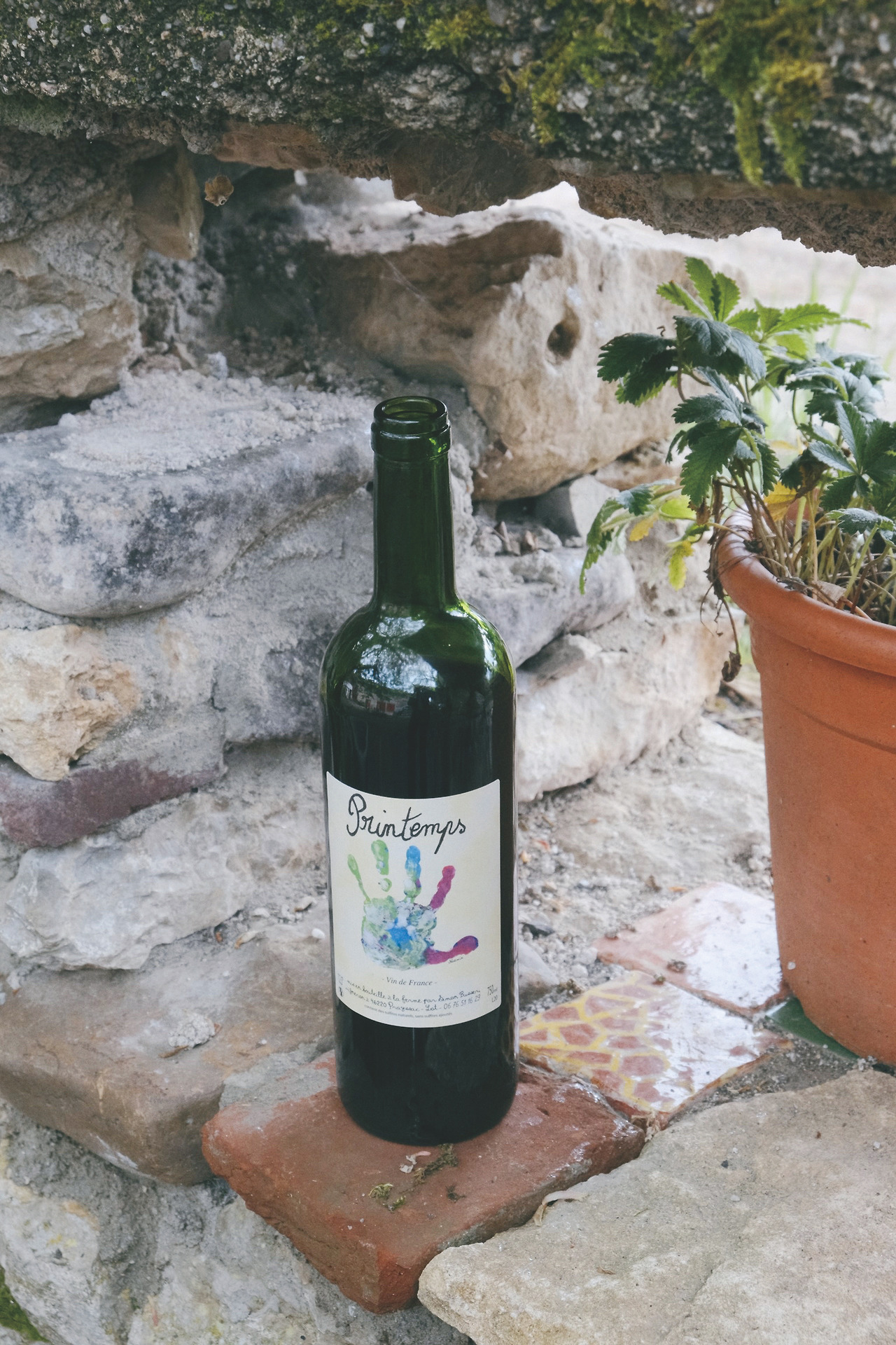 Simon Busser (14).jpg