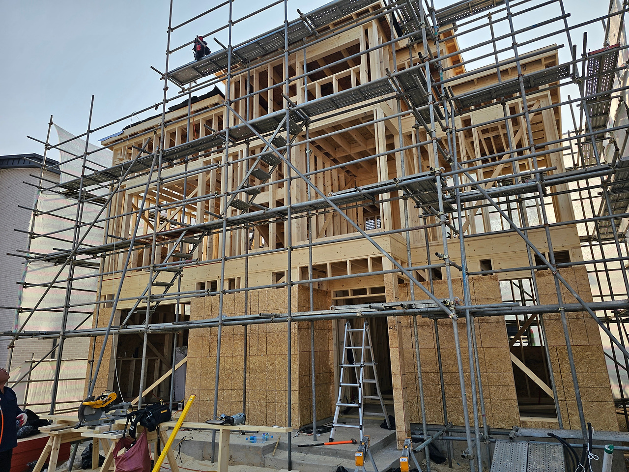 20230331_165023 (1).jpg