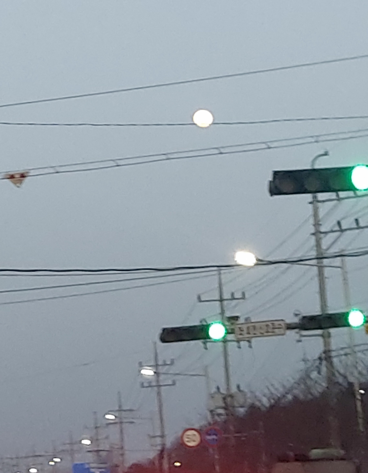 달따러 가세.jpg