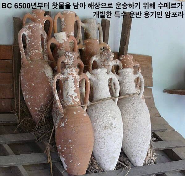 카지노 게임 사이트