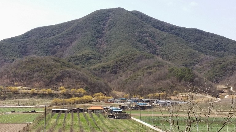 온라인 카지노 게임