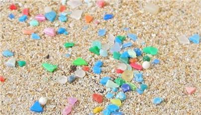 너무 진짜 같은 것은 가짜이다.jpg