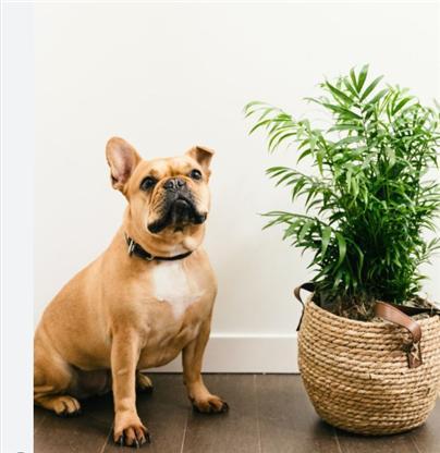 네 마음을 온전히 해방시켜라-2.jpg