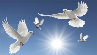 굳이 드러내지 않아도 강인하여라-3.jpg