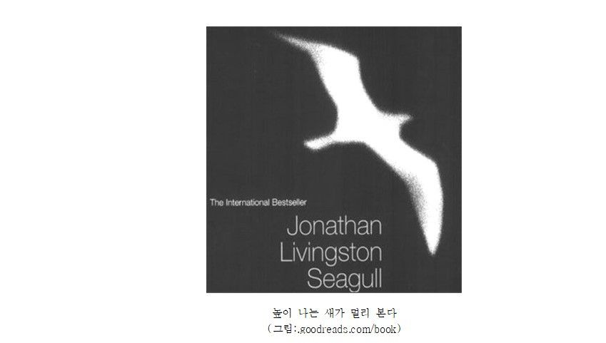 자신을 새털처럼 가볍게 하라.jpg