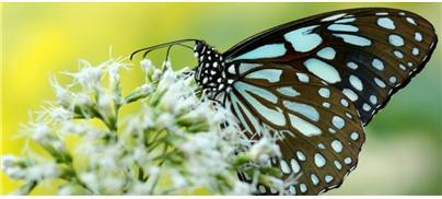 생의 고단함을 벗어나-3.jpg