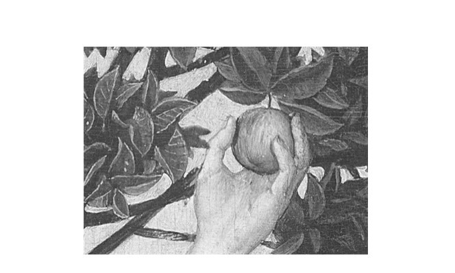 인생에서 원죄를 만들지 마라.jpg