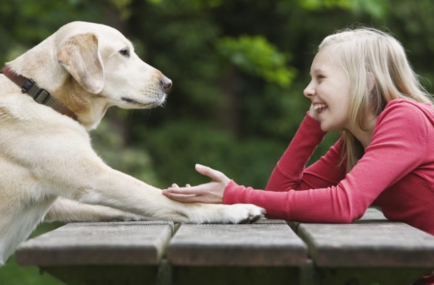 그대로 두고 보아라-1.jpg