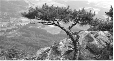 무비공의 마음.jpg