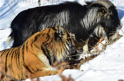 생은 통째로 '자신감'이다.jpg