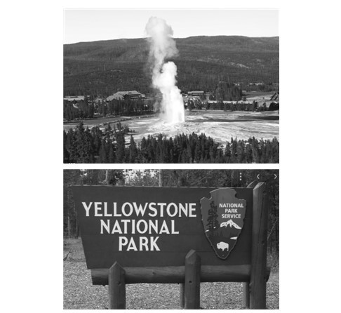 파동에 이리저리_2.jpg