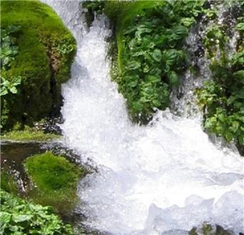 근원적 사유-2.jpg