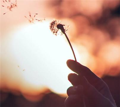 마치 파노라마처럼 펼칠 수 있어라-1.jpg