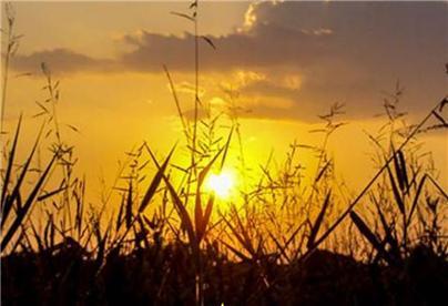 내적으로 잘 삭히어라-1.jpg