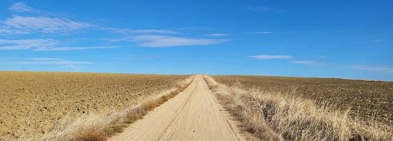 4.그늘에 대한 서사.jpg